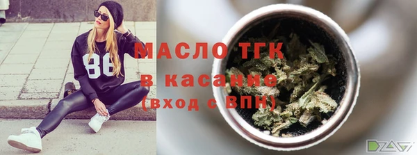 сатива Лабытнанги