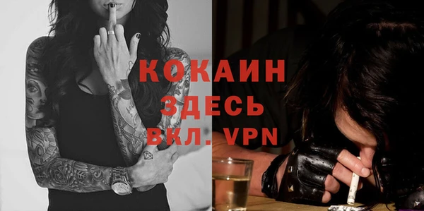 сатива Лабытнанги