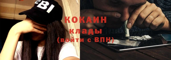 сатива Лабытнанги