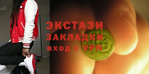 сатива Лабытнанги