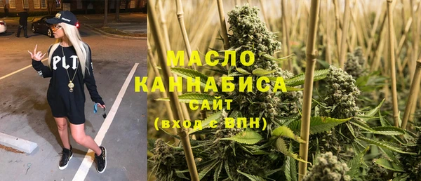 сатива Лабытнанги