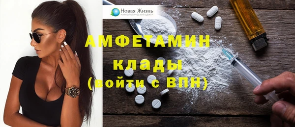 сатива Лабытнанги