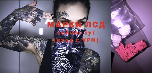 прущие грибы Кулебаки