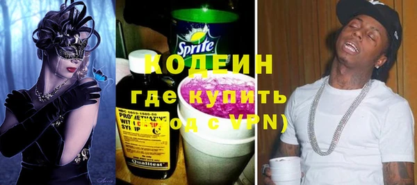 сатива Лабытнанги