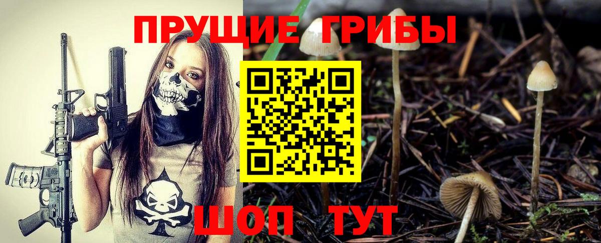 Галлюциногенные грибы GOLDEN TEACHER  где найти наркотики  Саранск  Вход с VPN 