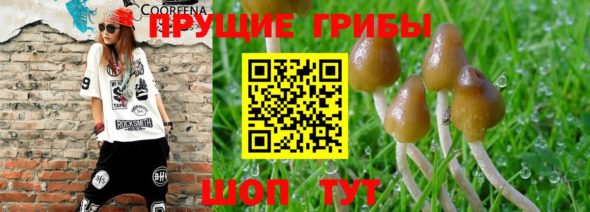 Галлюциногенные грибы мицелий Саранск
