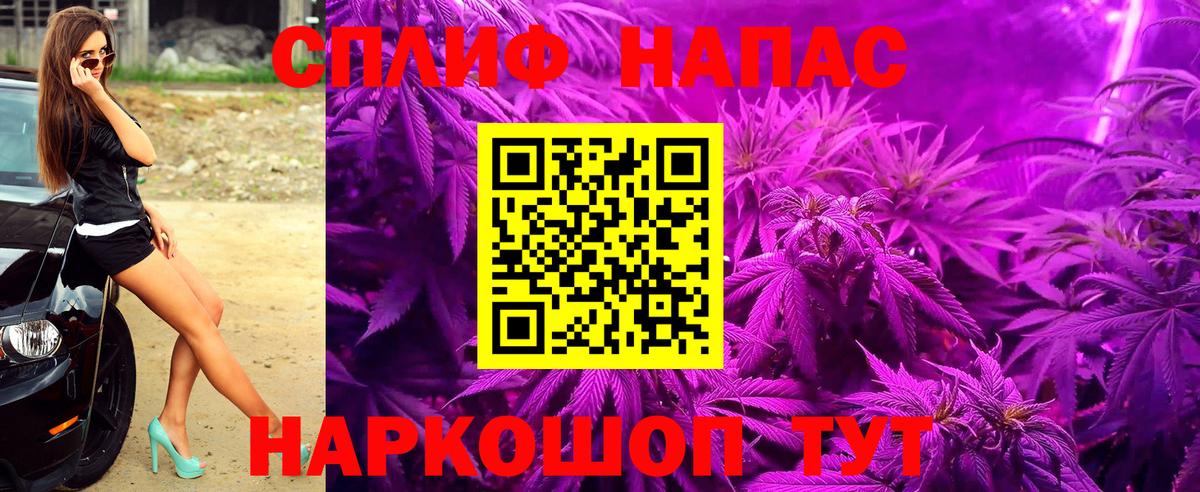 APVP Саранск