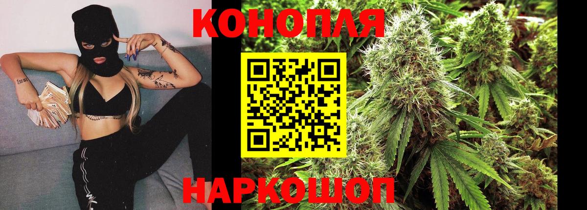 Каннабис OG Kush Саранск